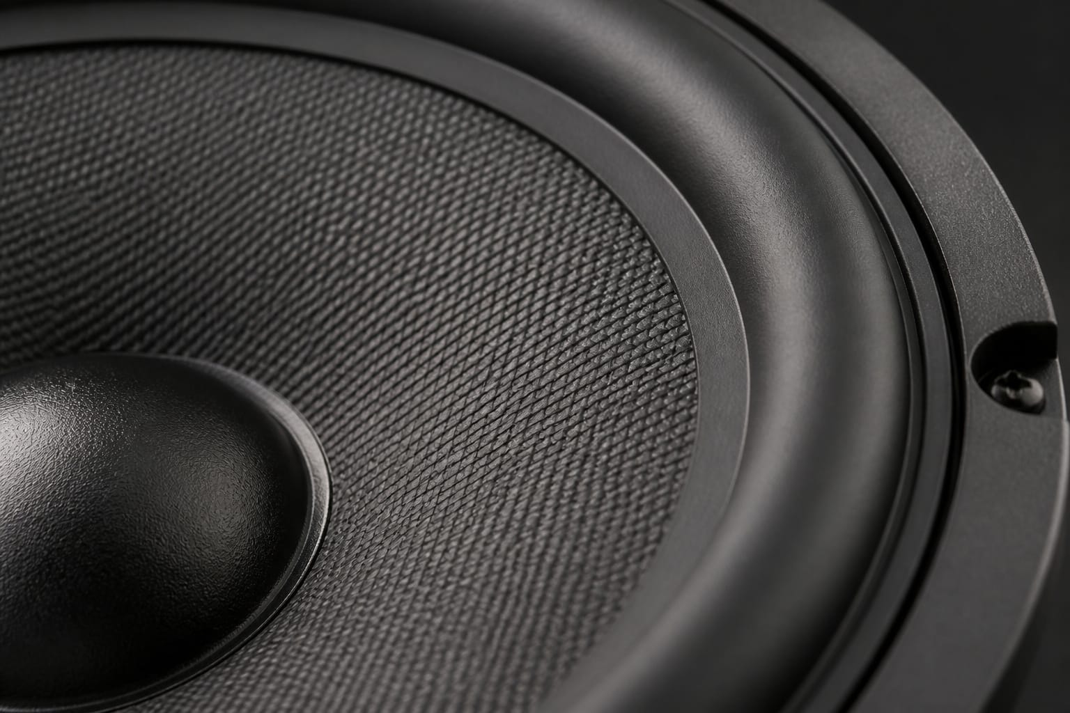 Close-up of a car speaker cone showing cone material and surround construction