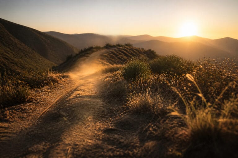 Mountain bike trail cresting a ridge at golden hour