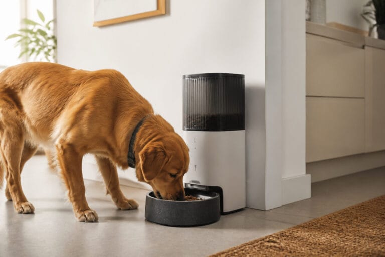Dog eating from a bowl beneath a modern automatic pet feeder
