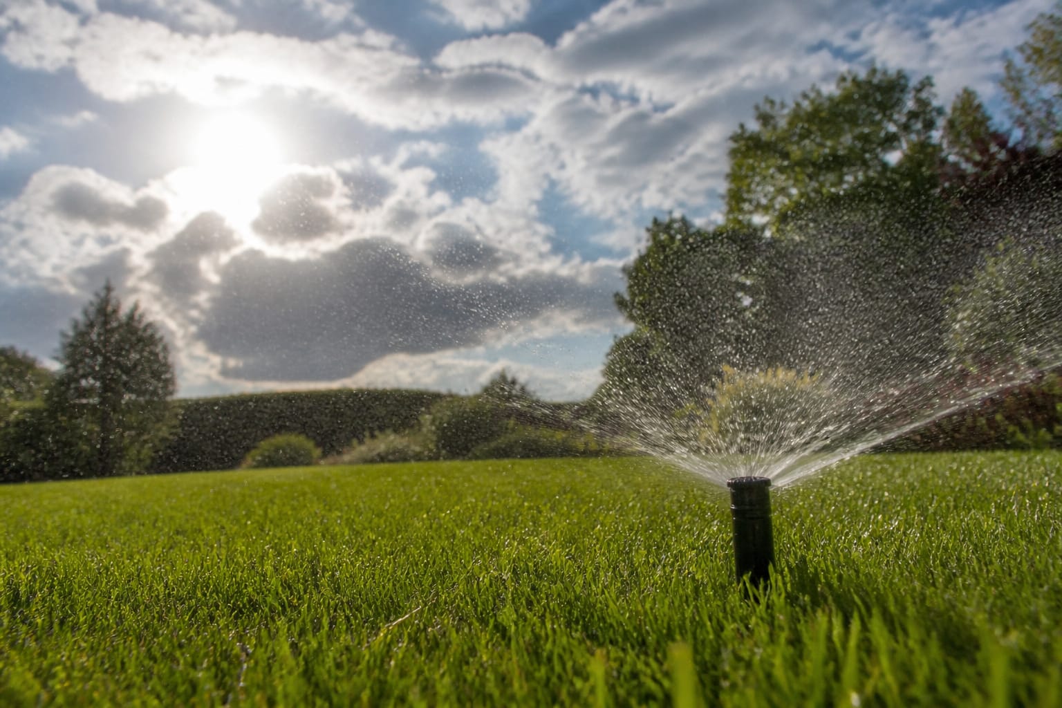Sprinkler head watering a green lawn on a partly cloudy day