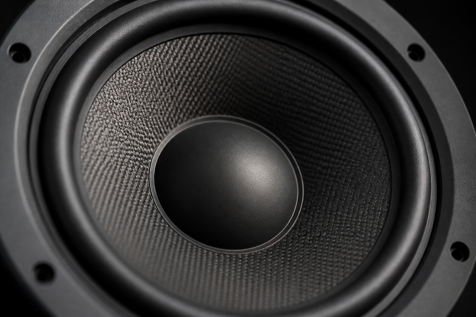 Close-up of a large speaker woofer cone
